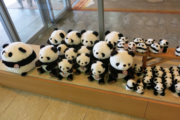 A bamboo of pandas