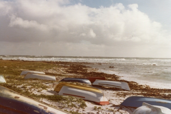 The Indian Ocean